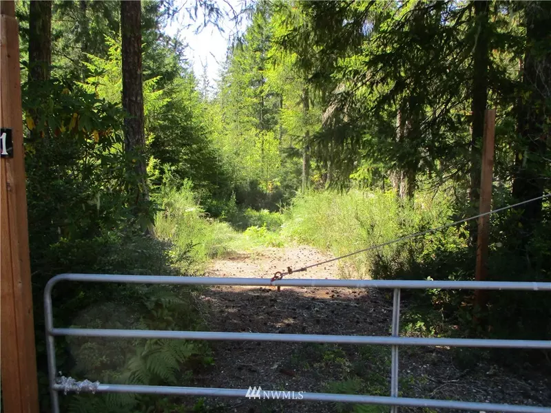 0 Collins Lake #1 Lot 61, Tahuya, WA 98588