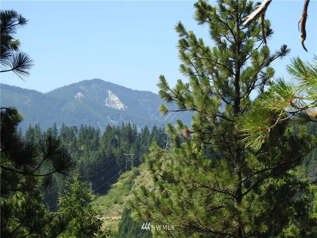 Cle Elum, WA 98922,750 Snowberry LOOP