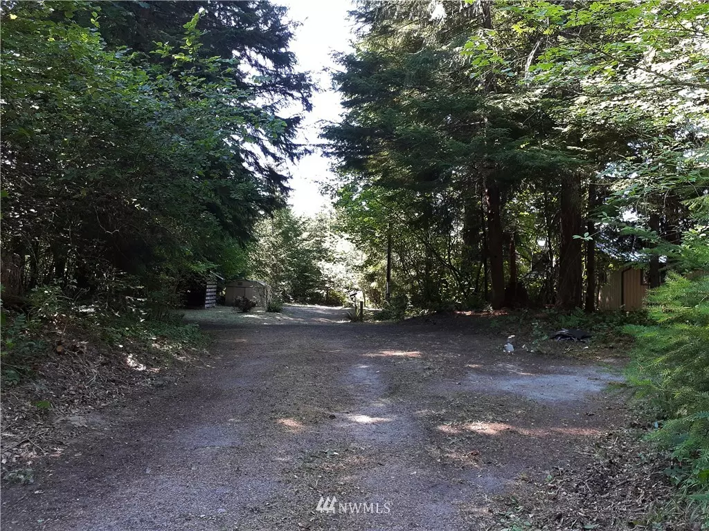 Packwood, WA 98361,118 Mountain View DR