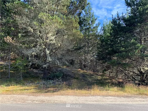 Oysterville, WA 99864,219 Douglas DR