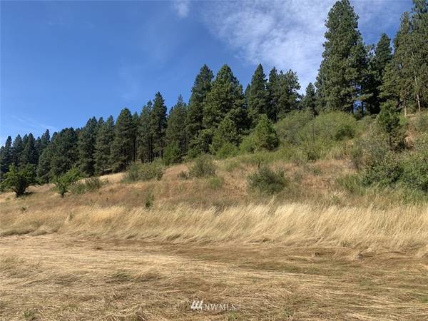 0 Lot 4-A Ranch RD, Cle Elum, WA 98922