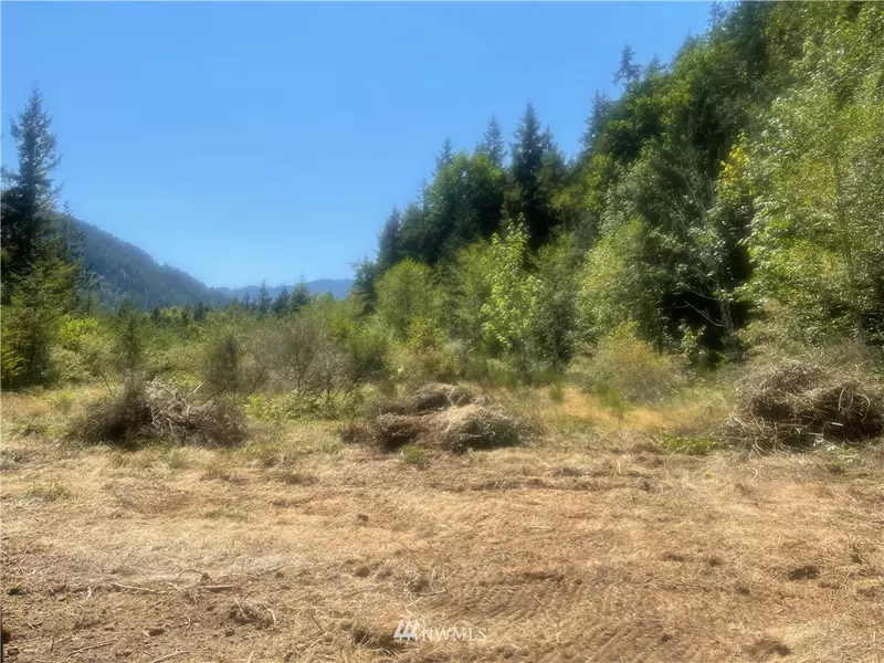 999 Cougar Run RD, Quilcene, WA 98376