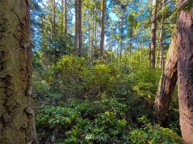 9999 39th ST, Port Townsend, WA 98368