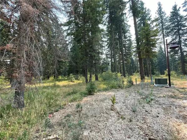 Cle Elum, WA 98922,42 Lot 42 Rainbow CT