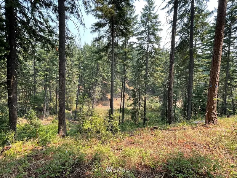 42 Lot 42 Rainbow CT, Cle Elum, WA 98922