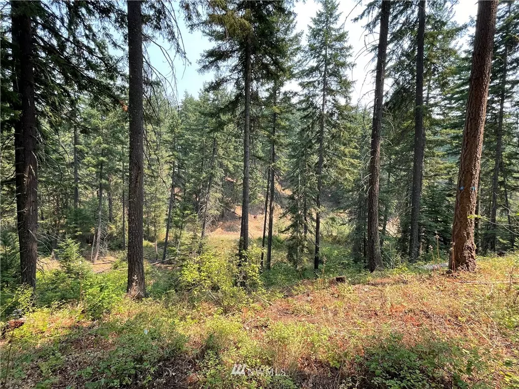 Cle Elum, WA 98922,42 Lot 42 Rainbow CT