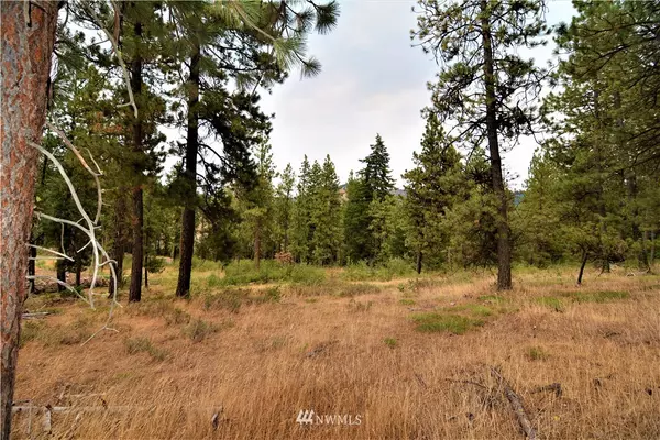 Cle Elum, WA 98922,0 Lot 6 Mountain Creek DR