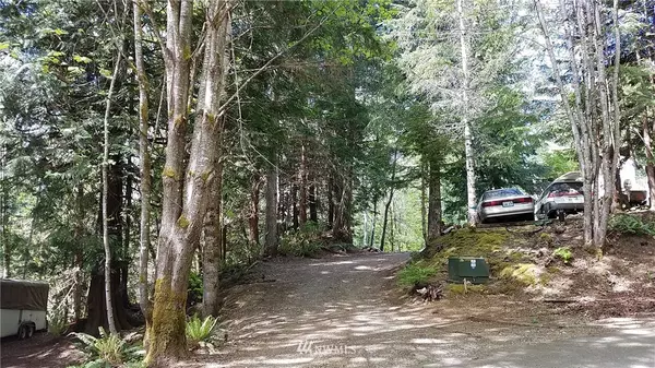 58 Trail Head Loop, Lilliwaup, WA 98584