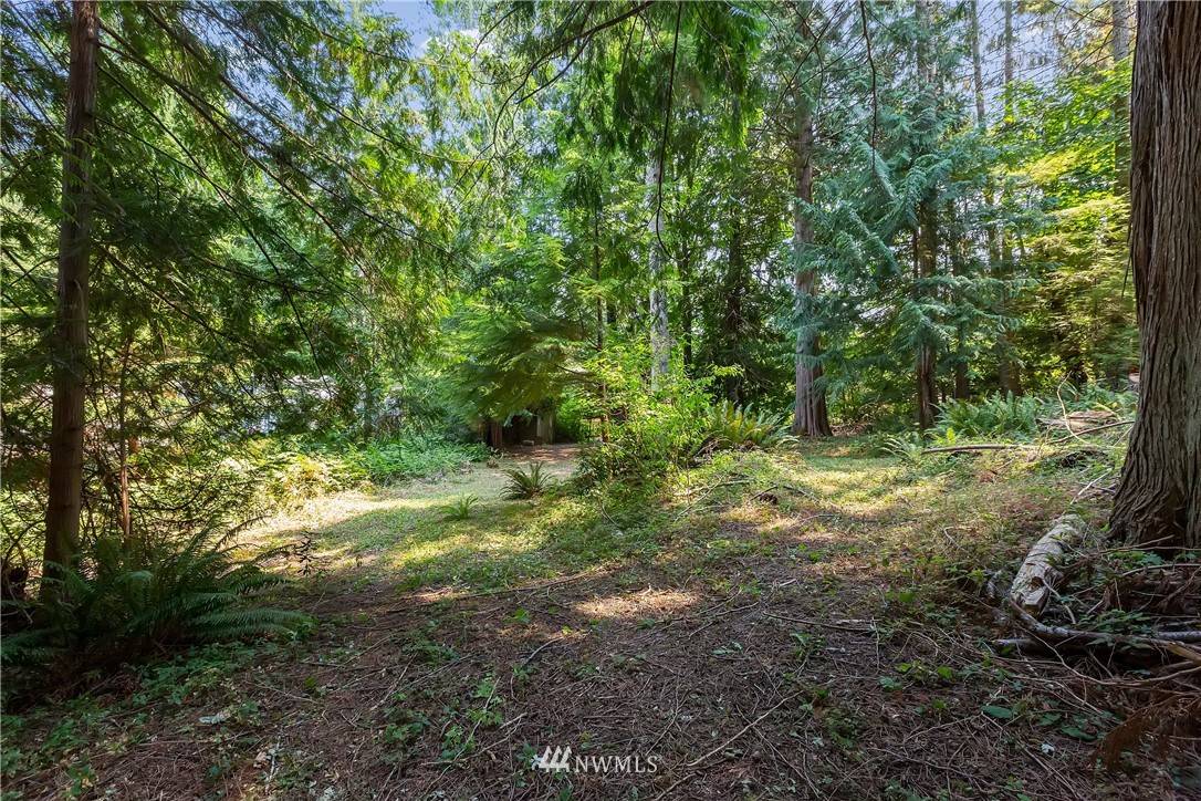 1 xx Whale RD, Brinnon, WA 98320