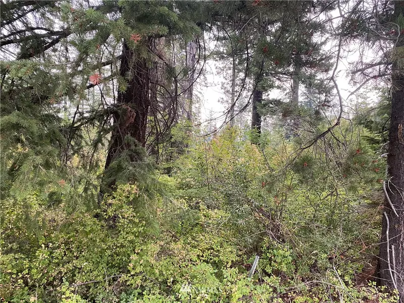 0 Tucker RD, Dayton, WA 99328