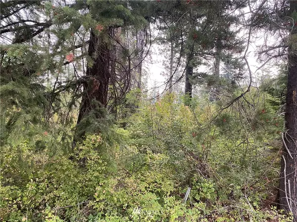 Dayton, WA 99328,0 Tucker RD
