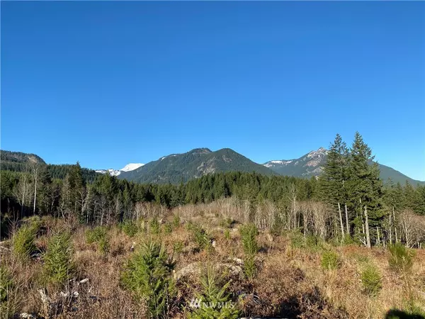 Packwood, WA 98361,0 Craig RD