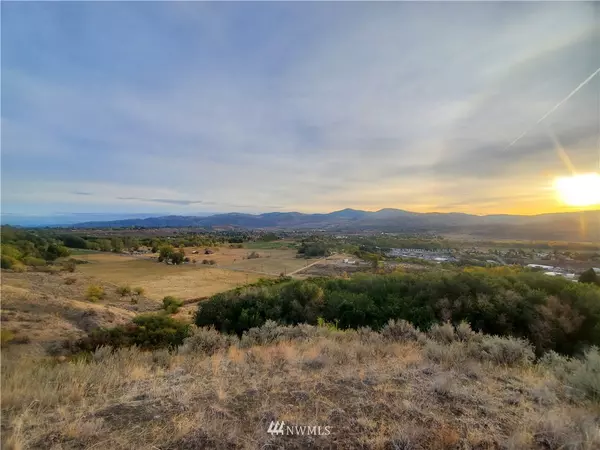 Omak, WA 98841,0 TBD Panorama Point