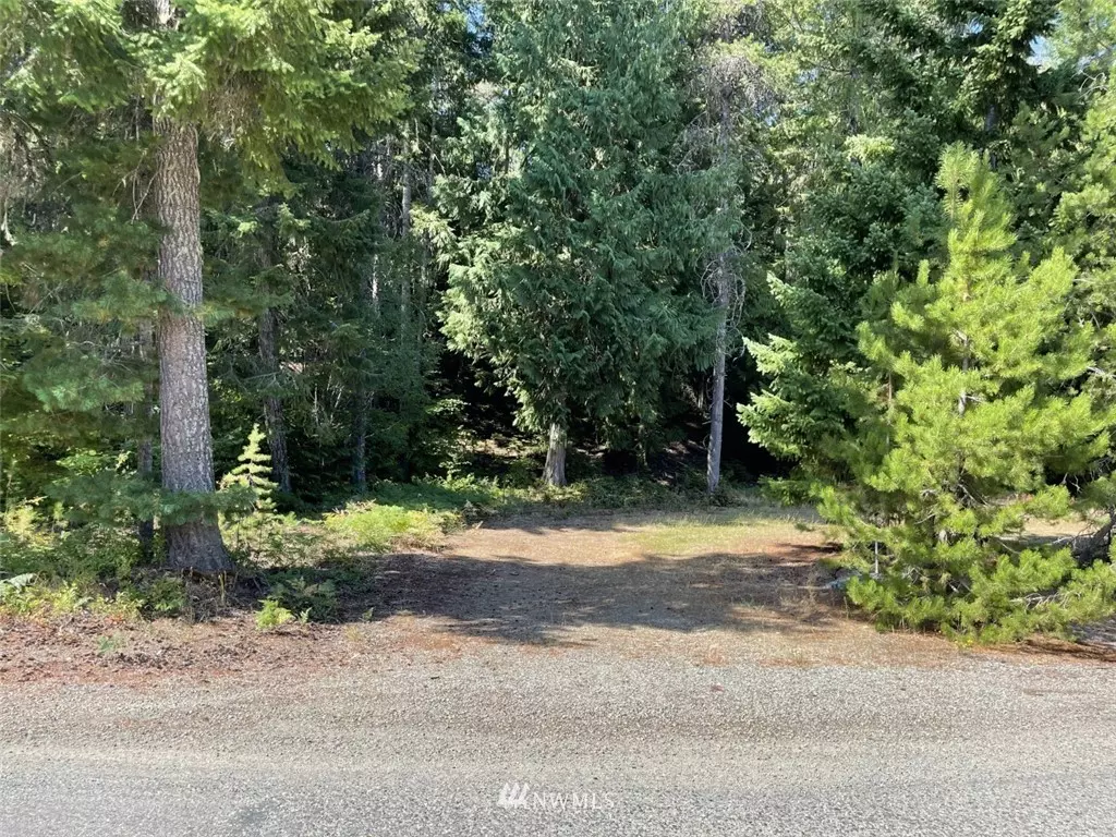 Easton, WA 98925,11 X Kachess River RD