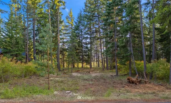 Cle Elum, WA 98922,360 Snowberry LOOP