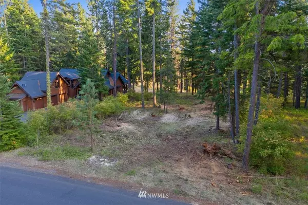 Cle Elum, WA 98922,360 Snowberry LOOP