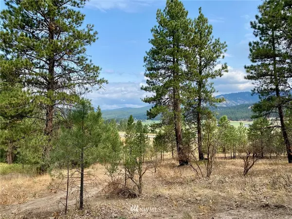 360 Forest Grove (Lot 8) WAY, Cle Elum, WA 98922