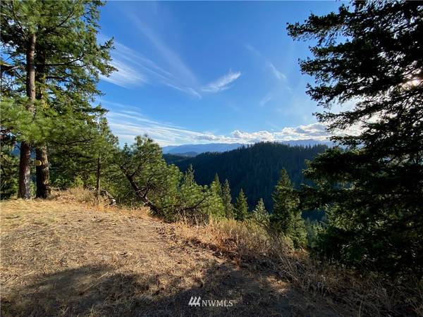 0 Chumstick HWY, Leavenworth, WA 98826