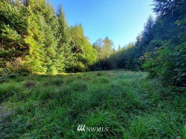 9993 Mina Smith RD #Lot 3, Forks, WA 98331