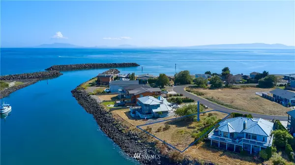 Point Roberts, WA 98281,0 Harbor Seal