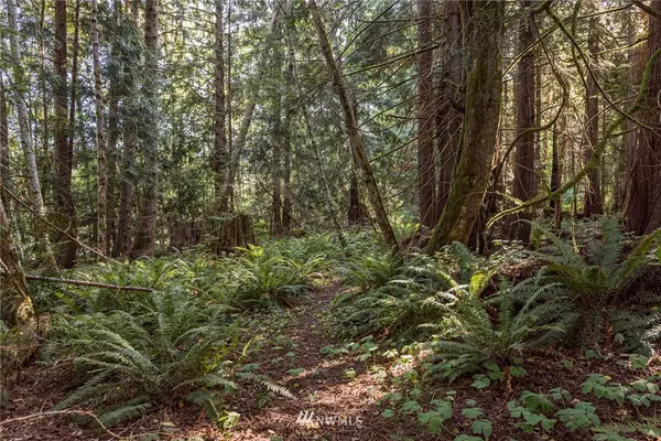 Port Angeles, WA 98363,134 Deer Tracks RD