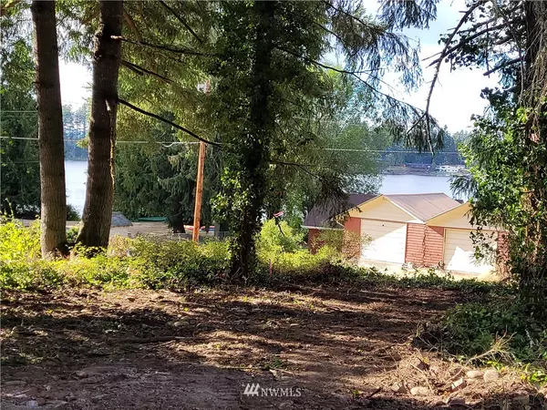 Tenino, WA 98589,11921 Sanford ST SE