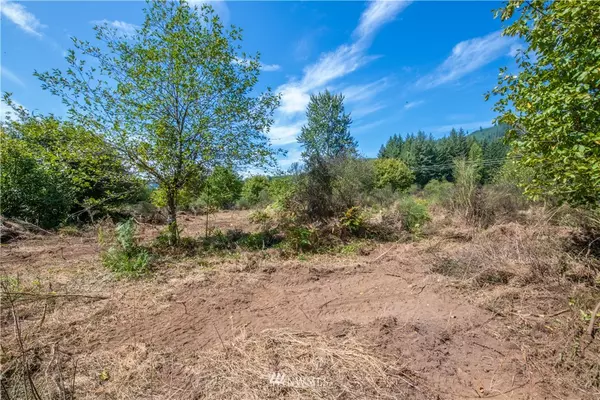 232 Lot E1 Wild Daisy DR, Ariel, WA 98603