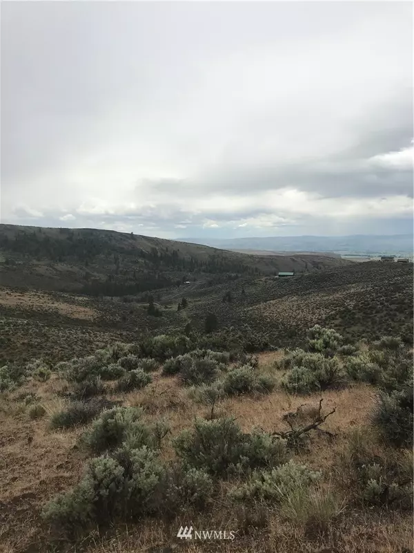 Ellensburg, WA 98926,0 Lot 4&5 Secret Canyon Road