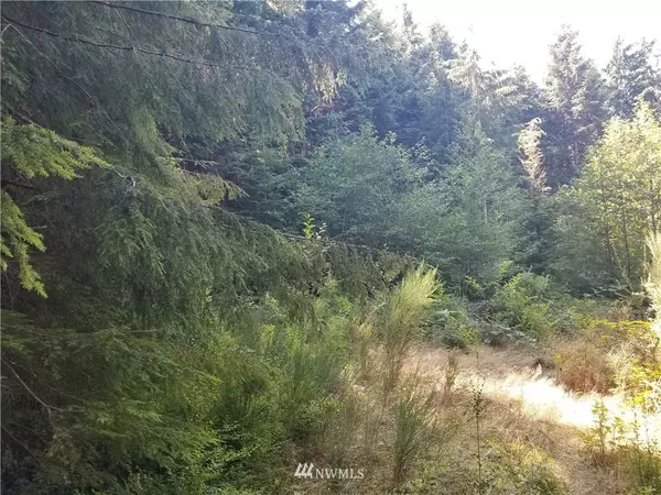 Copalis Beach, WA 98535,18 Elk Ridge RD