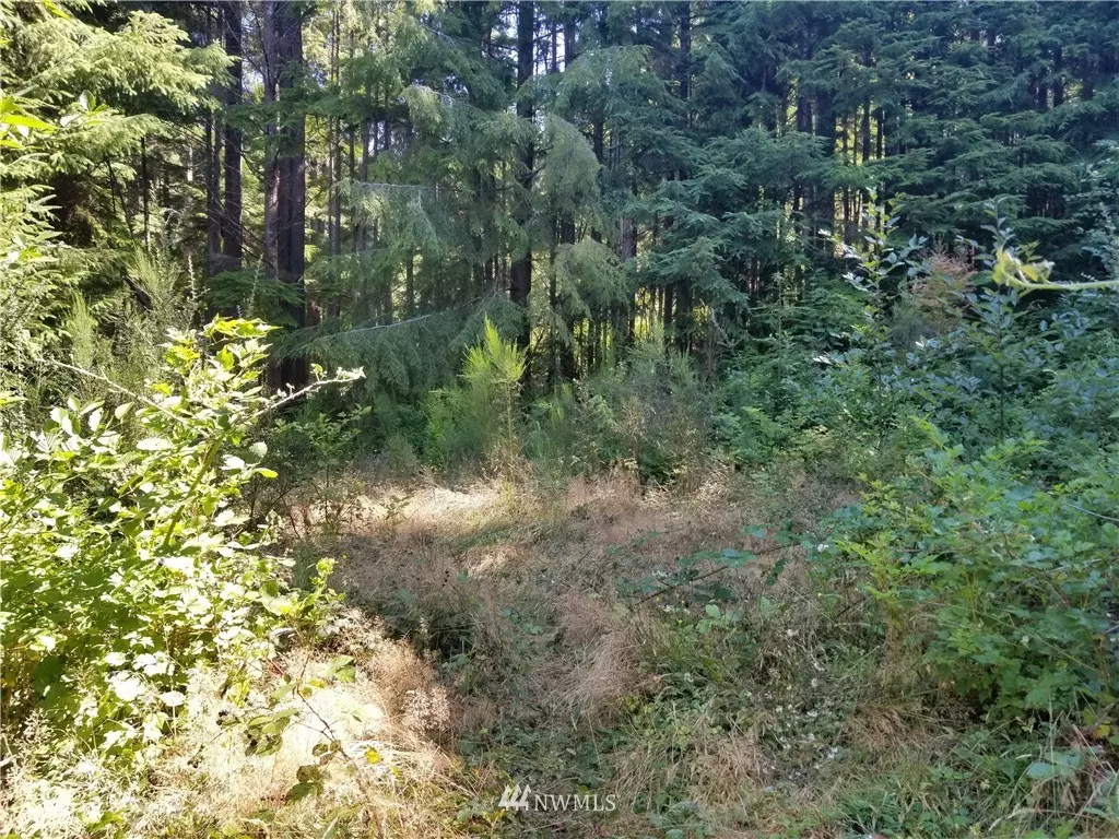 Copalis Beach, WA 98535,18 Elk Ridge RD