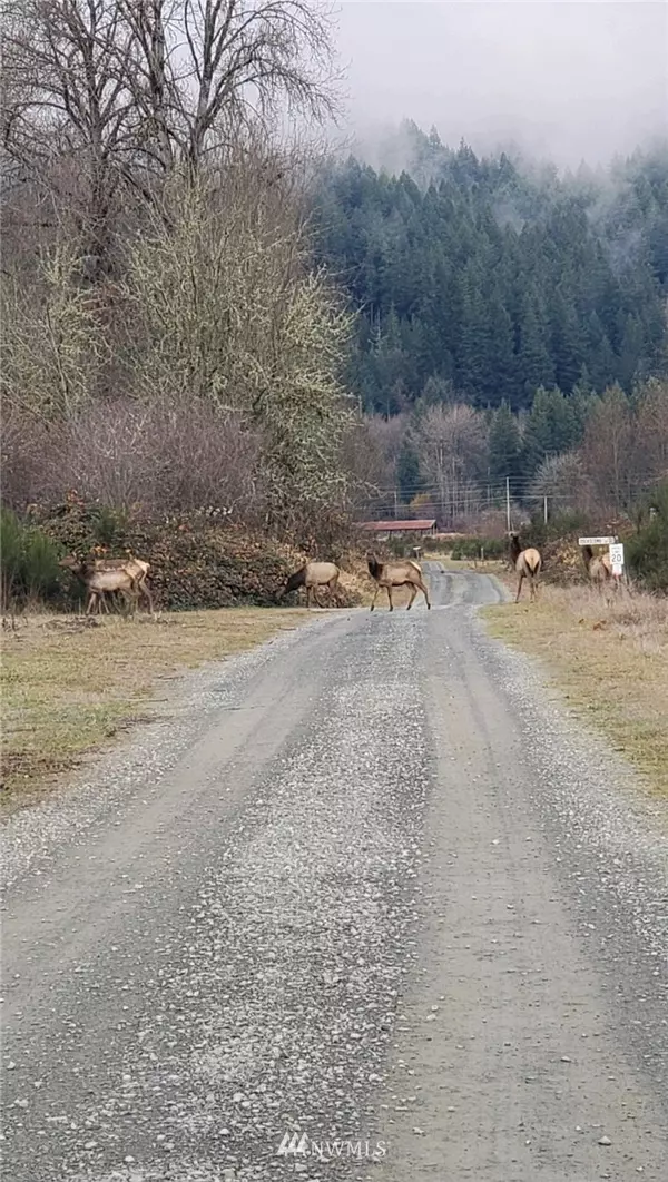 Randle, WA 98937,0 US Highway 12