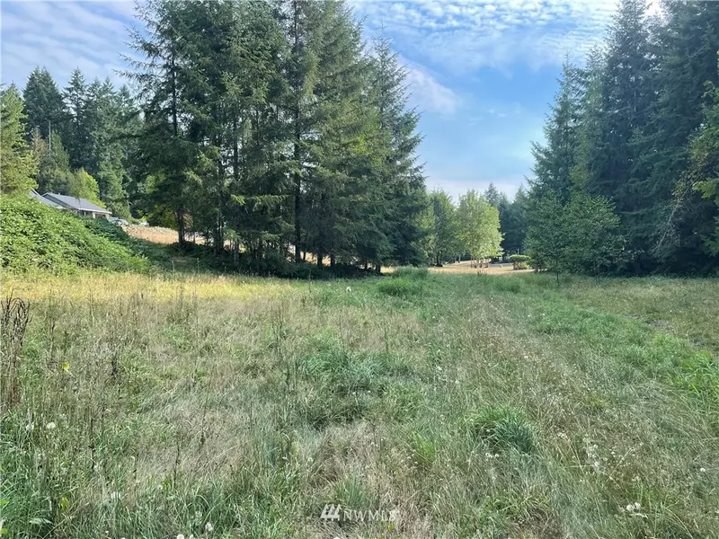 0 Owens RD, Silverlake, WA 98645