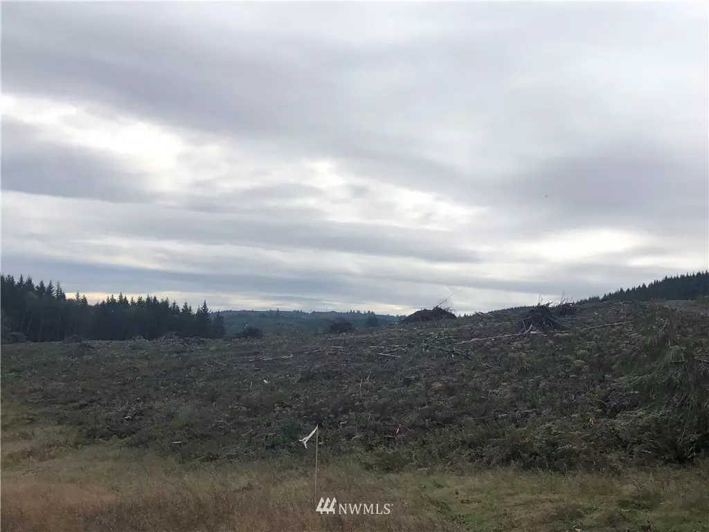 Castle Rock, WA 98611,0 Mull RD