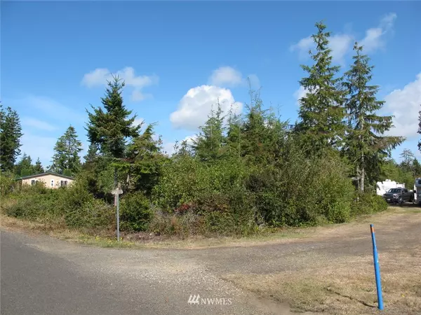 Ocean Park, WA 98640,20216 Crane PL