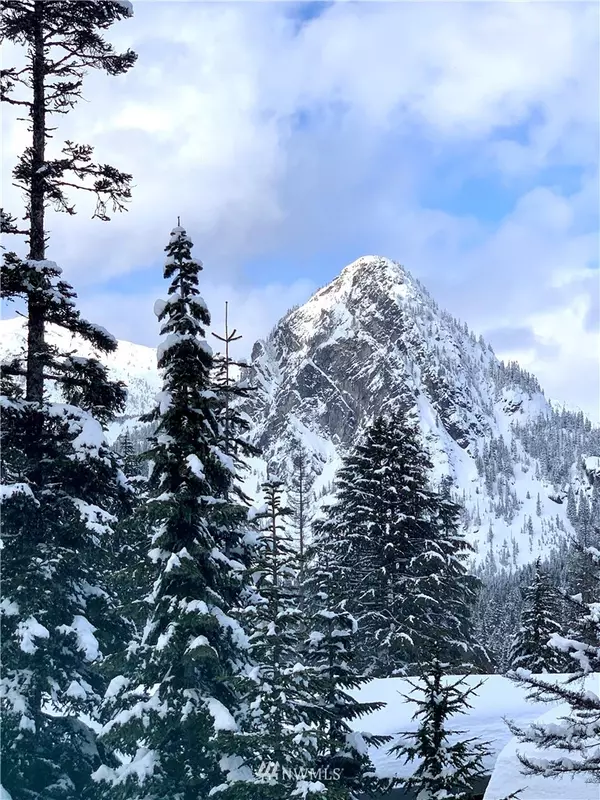 Snoqualmie Pass, WA 98068,61 Guye Peak Lane