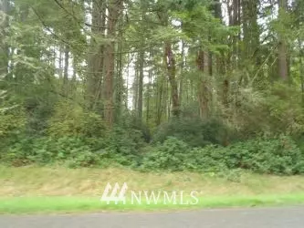 Anderson Island, WA 98303,11412 Country Club DR