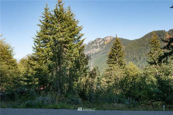 2 XX Rampart DR, Snoqualmie Pass, WA 98068
