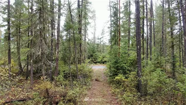 101 Arthurs BLVD, Cusick, WA 99119
