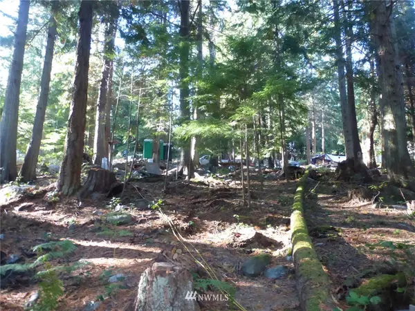 Lopez Island, WA 98261,100 Lodgepole LN