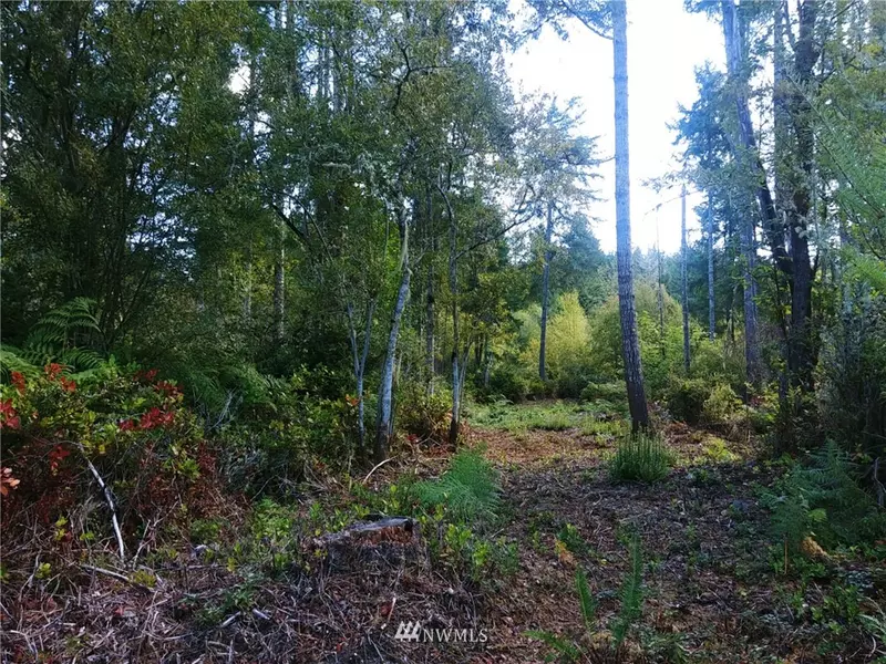 7219 182nd Avenue Ct NW, Vaughn, WA 98394