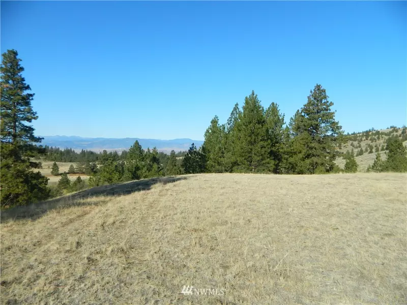 13 N Siwash Creek RD, Tonasket, WA 98855