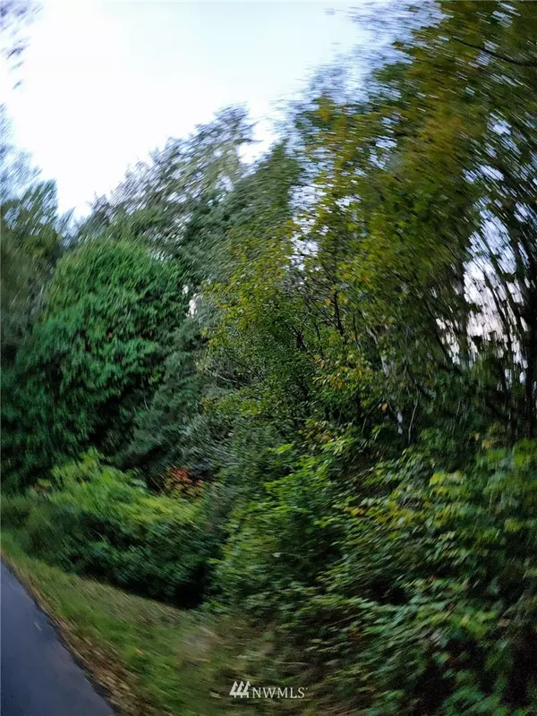 227 Hull Creek RD, Grays River, WA 98621