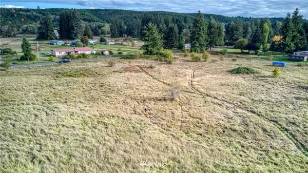 Elma, WA 98541,0 Satsop Riviera LOOP #Lot90