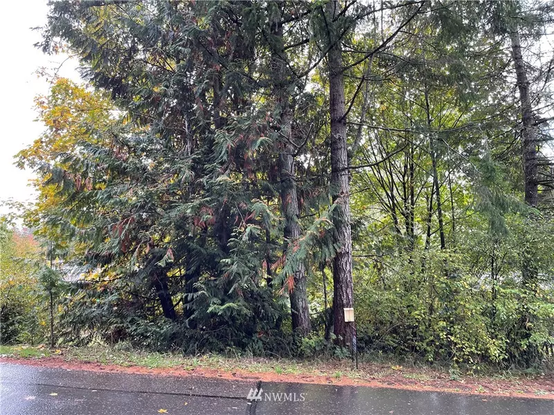 80 SE Clematis AVE, Shelton, WA 98584