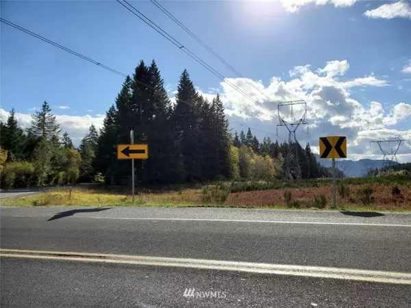 Rainier, WA 98576,14931 Runyon RD