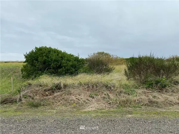 Ocean Shores, WA 98569,90 Dunes LN