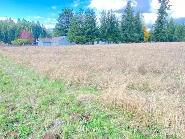 425 Antrim (Lot 2) RD, Winlock, WA 98596