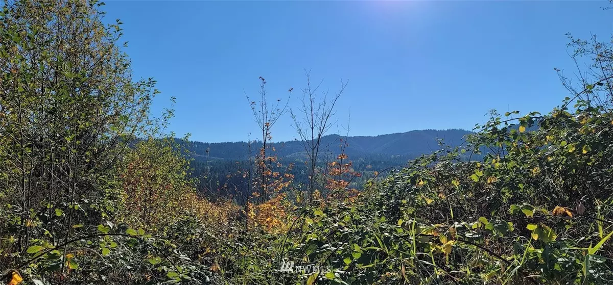 Eatonville, WA 98328,306 Skylar WAY