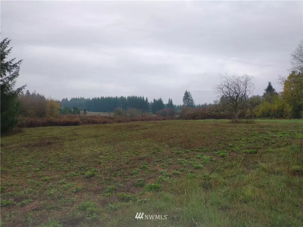 Winlock, WA 98596,213 Nelson RD