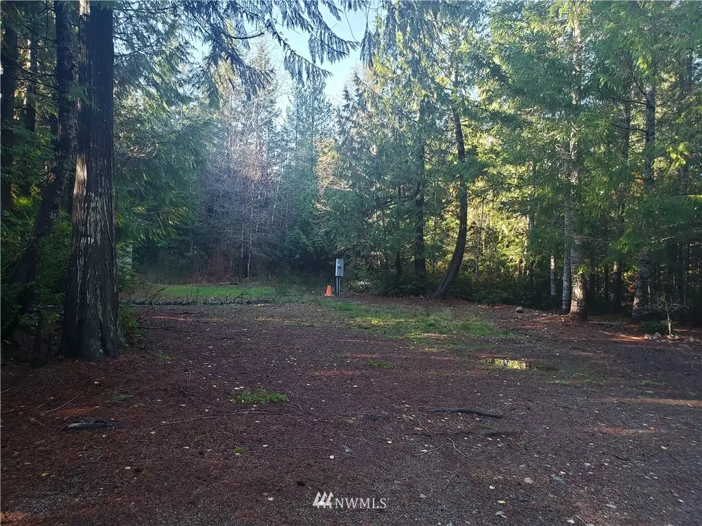 Belfair, WA 98588,262 NE Kissin Tree LN